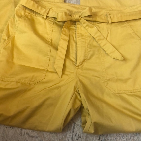 Loft flare Capri pants with belt - Picture 3 of 5